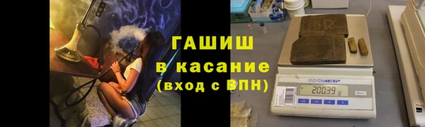 стафф Коряжма