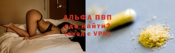 стафф Коряжма