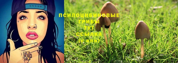 mdma Костерёво