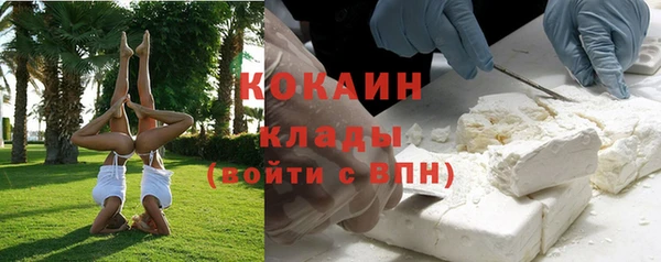 стафф Коряжма