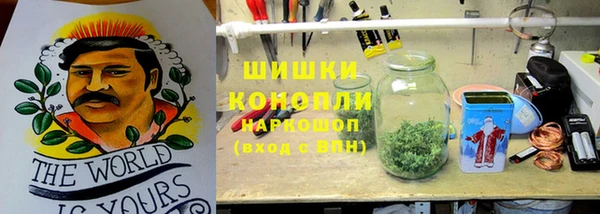 стафф Коряжма