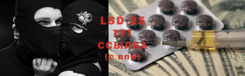 Лсд 25 экстази ecstasy  где можно купить   мега онион  Шелехов 