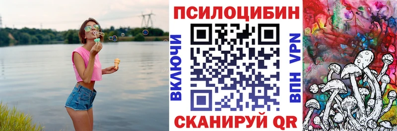 Псилоцибиновые грибы Psilocybine cubensis  хочу   Шелехов 